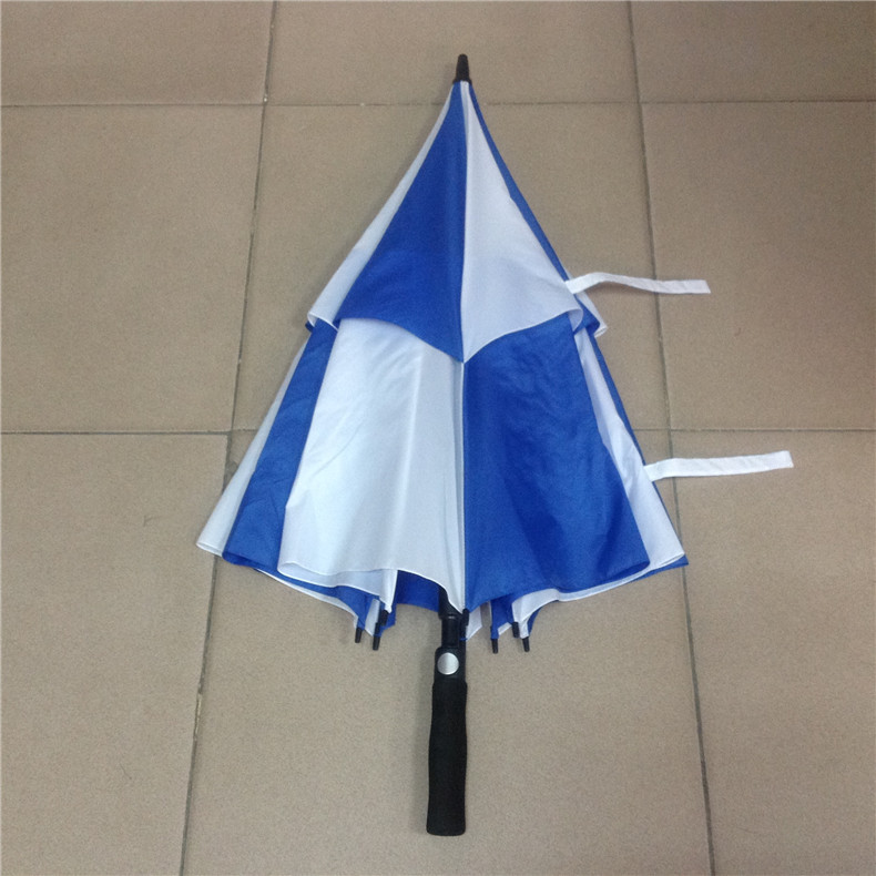 Windy Umbrella