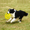Soft EVA Dog Flying Disc Toy for Children Pets Dogs for Backyard Lawn Games Sports Party Favors