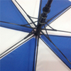 Windy Umbrella