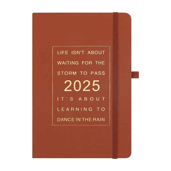 Customized 2025 Thickened 365 Day Daily Plan Book