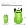 Outdoor Backpack Large Capacity Lightweight Logo Sports Travel Backpack