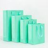 Paper Bag With Ribbon Handle