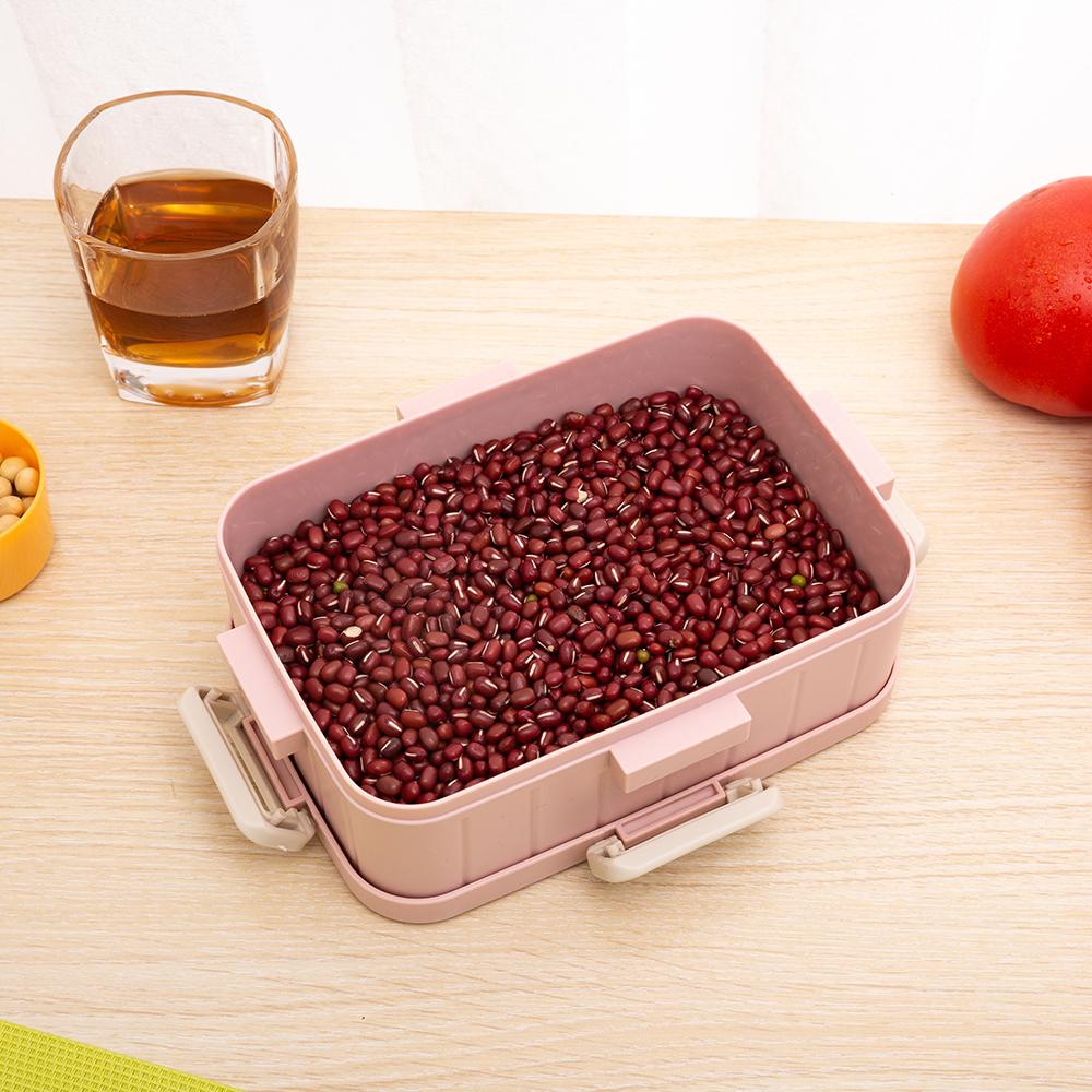Quality Custom Silicone Airtight Plastic Bento Lunch Box