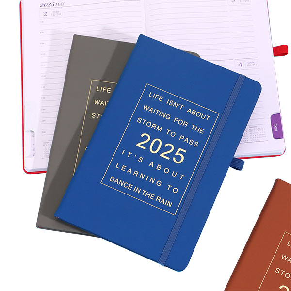 Customized 2025 Thickened 365 Day Daily Plan Book