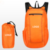 Outdoor Backpack Large Capacity Lightweight Logo Sports Travel Backpack