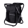 Beach Chair with Cooler Bag