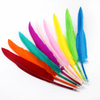 Natural Feather Pen