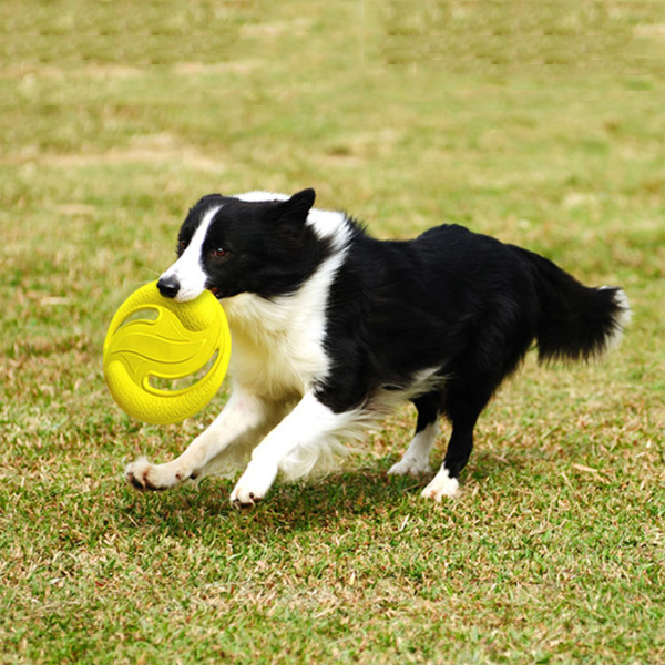 Soft EVA Dog Flying Disc Toy for Children Pets Dogs for Backyard Lawn Games Sports Party Favors