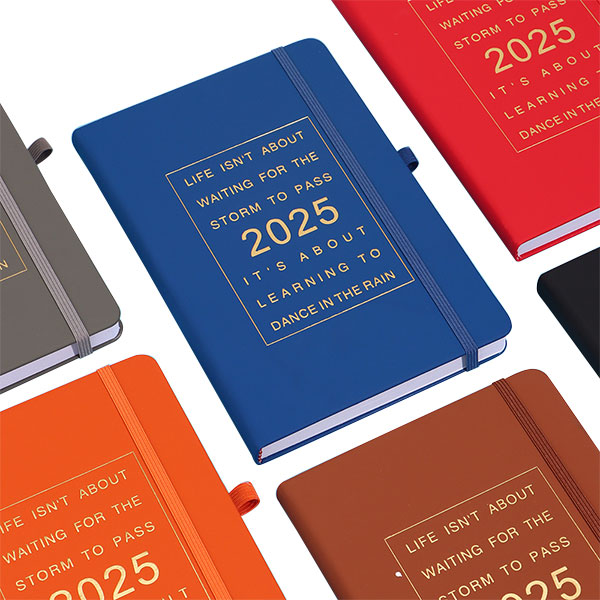 Customized 2025 Thickened 365 Day Daily Plan Book