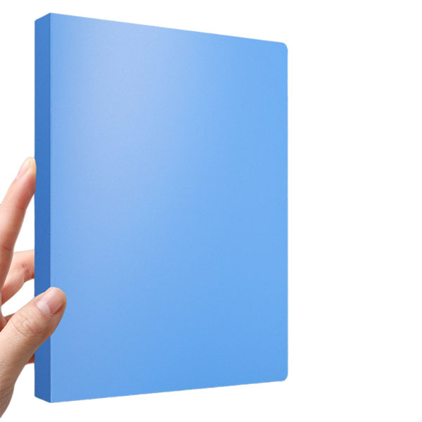 A4 Transparent Folder With Four Punch Binders