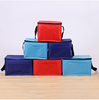 Premium Oxford Insulated Cooler Bags
