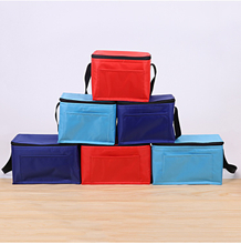 Premium Oxford Insulated Cooler Bags