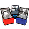 Low Price Coolers Premium Insulated Non Woven Fabric Bags