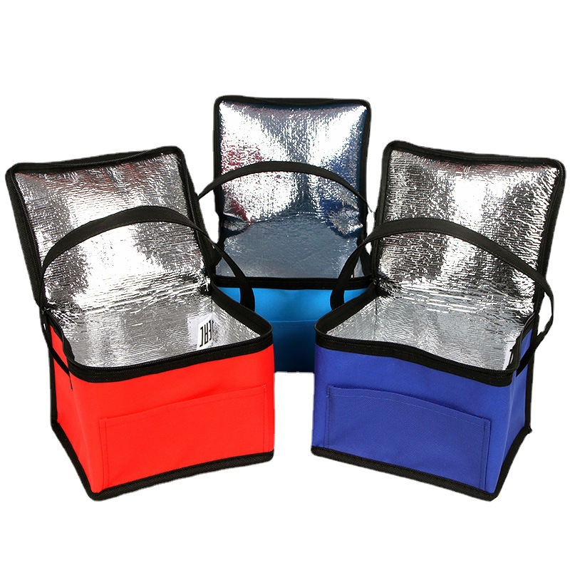 Low Price Coolers Premium Insulated Non Woven Fabric Bags
