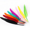 Natural Feather Pen