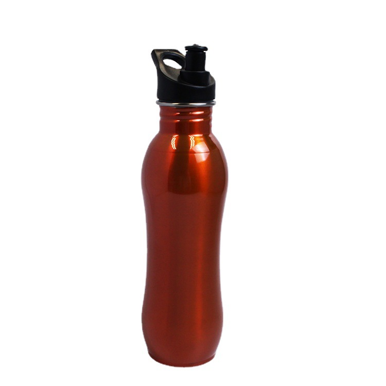 304 Stainless Steel Curved Sports Water Bottle