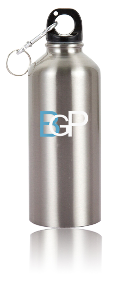 Stainless Steel Custom Logo Sports Water Bottle With Carabiner 20Oz