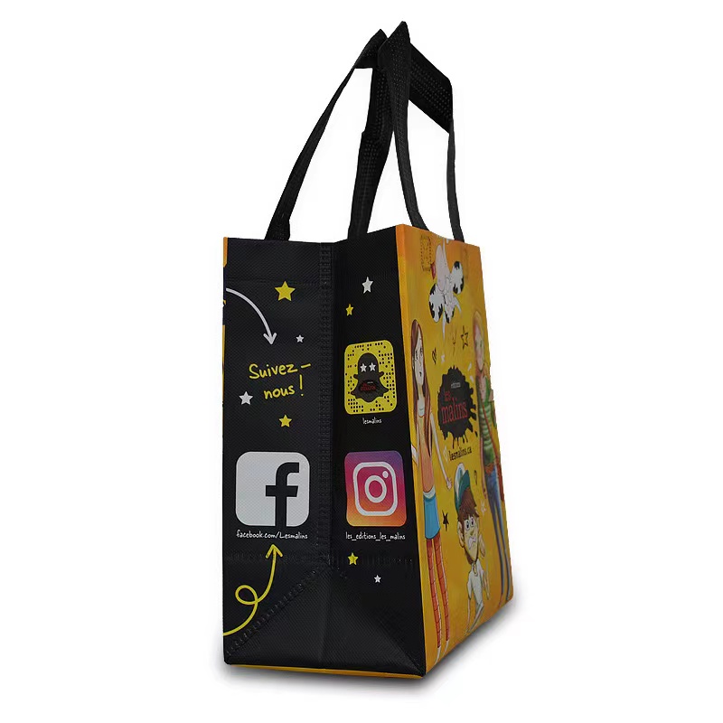 Laminated Lunch Cooler Tote Bag