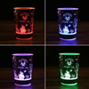 12oz PS Induction LED Light Cup