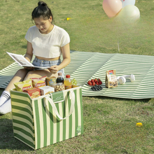 2 in 1 Foldable Insulated Cooler Bag Picnic Blanket