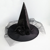 Witch Hat with Rose Net