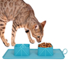 Double Bowl Portable Pet Folding Bowl With Food Mat