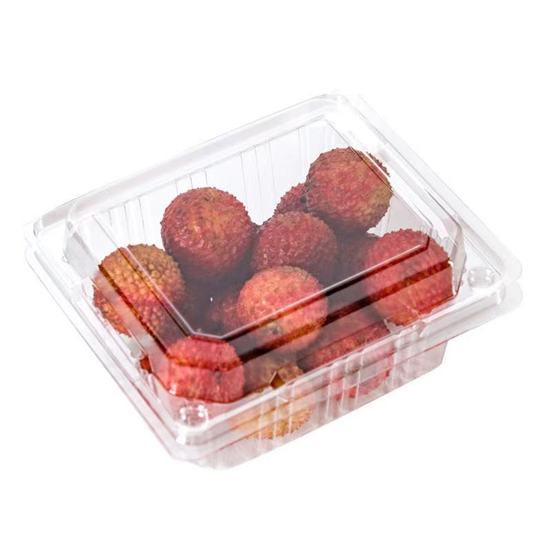 Disposable Environmentally Friendly Food Boxes