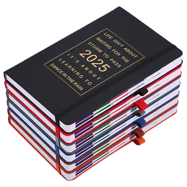 Customized 2025 Thickened 365 Day Daily Plan Book