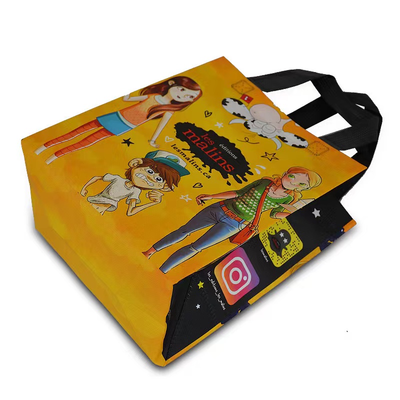 Laminated Lunch Cooler Tote Bag