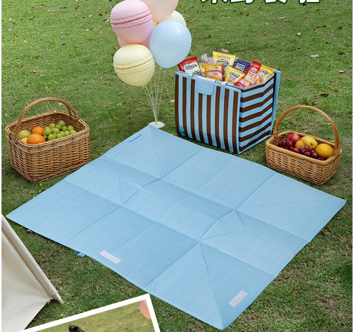 2 in 1 Foldable Insulated Cooler Bag Picnic Blanket