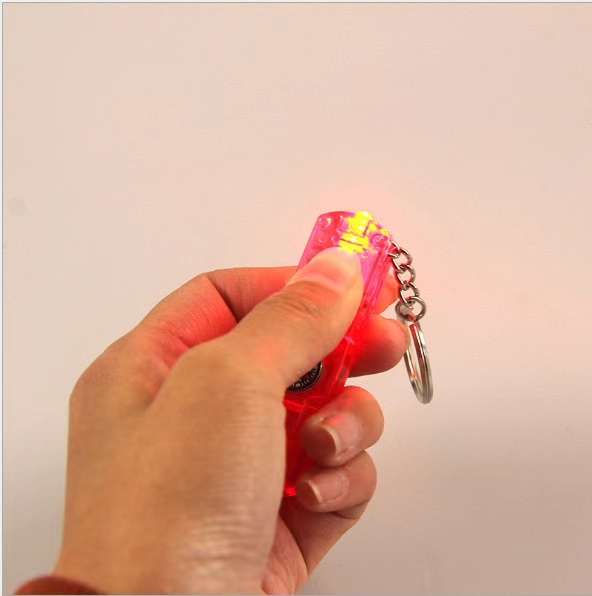 Kight Whistle Key Chain