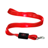 LED Light Lanyard